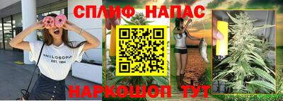 прущие грибы Кингисепп