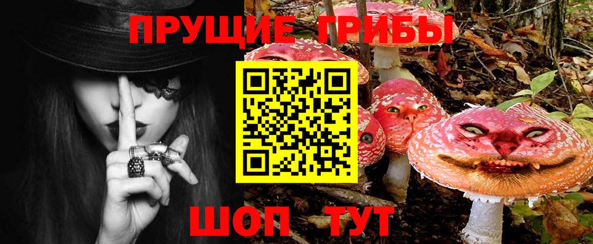 Галлюциногенные грибы GOLDEN TEACHER Балтийск
