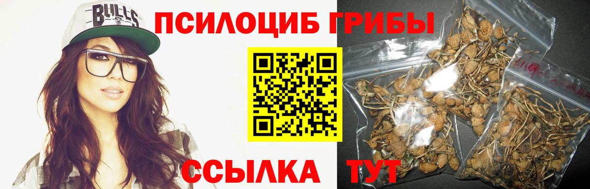 Балтийск  Псилоцибиновые грибы прущие грибы  Вход с VPN 